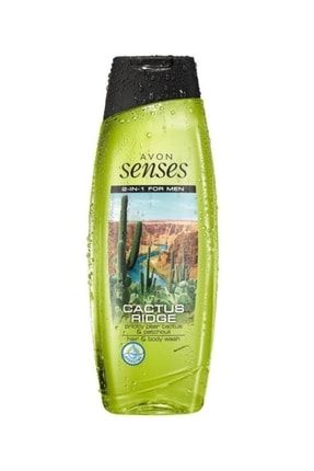 Senses Erkekler Için Cactus Ridge Saç Ve Vücut Şampuanı 500ml m568