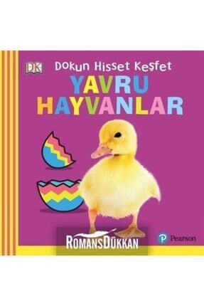 Pearson Yayinlari Bebek Dokun Ve Hisset Renkler Ve Sekiller Trendyol