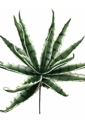 Aloe Vera Eva Yapay Çiçek 918010