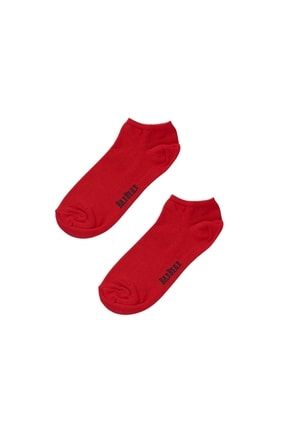 Core Ankle Socks Bordo TYC00400170695