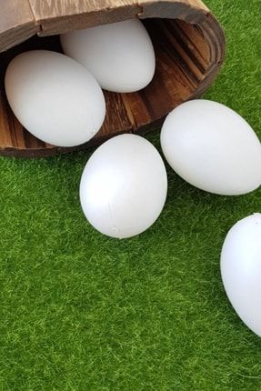 Plastik 10 Adet Yapay Beyaz Tavuk Yumurtası Orijinal Boyutta Gezen Tavuk Yumurtası CP-STELLA245