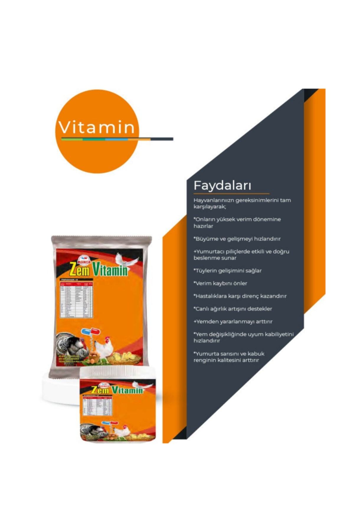 Zem Vitamin Kanatlı Hayvan Piliç Vitamin Takviyesi Karışımı 100 Gr 2