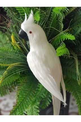 Dekoratif Kakadu Papağan Beyaz Büyük 2212345139