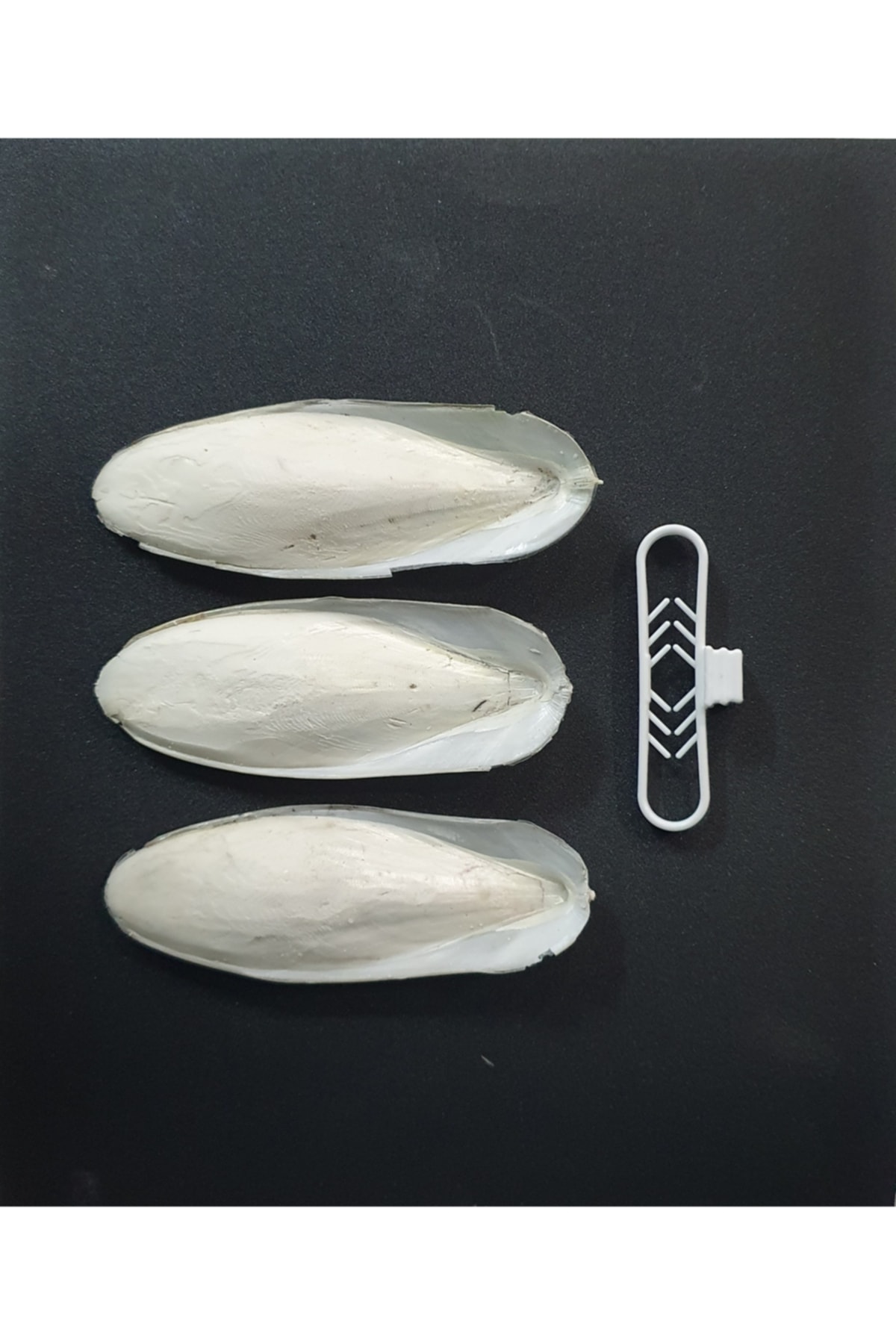 MercanPetStore 3 Adet Kalamar Kemiği 7-8 Cm Tutacak Aparat Hediyeli