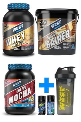 6000 Mass Gainer + 2300 Whey Protein + Proteinli Kahve Paketi Çikolata Kurabiye WSTST-050