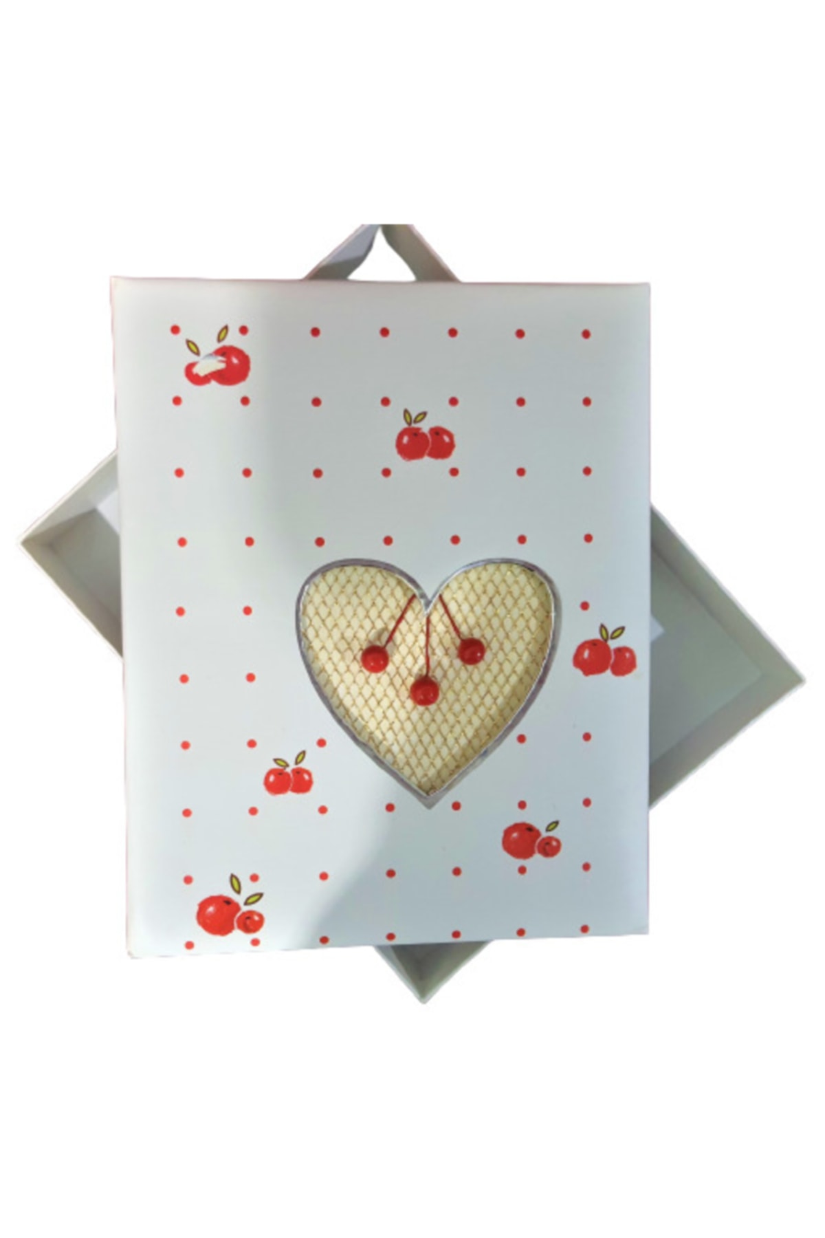 Cmf Kutulu Fotoğraf Albümü 15x21 Cm Ve 10x15 Cm 120'lik Memory'li Kiraz Desenli