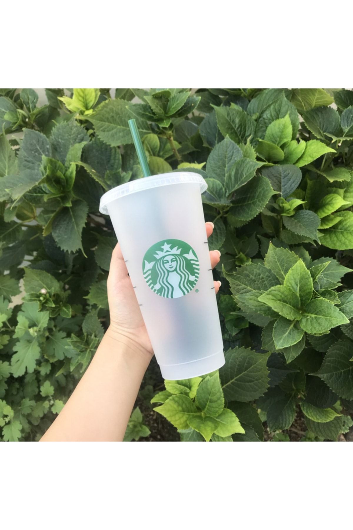 Starbucks Plant Cold Cup, Reusable Coffee Tumbler, Starbucks Cold