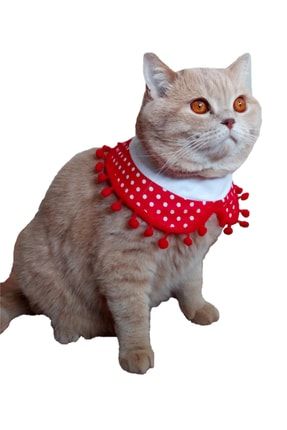 Puantiyeli Ponponlu Kedi Ve Küçük Irk Köpek Yakası Kırmızı STYYBDK0001