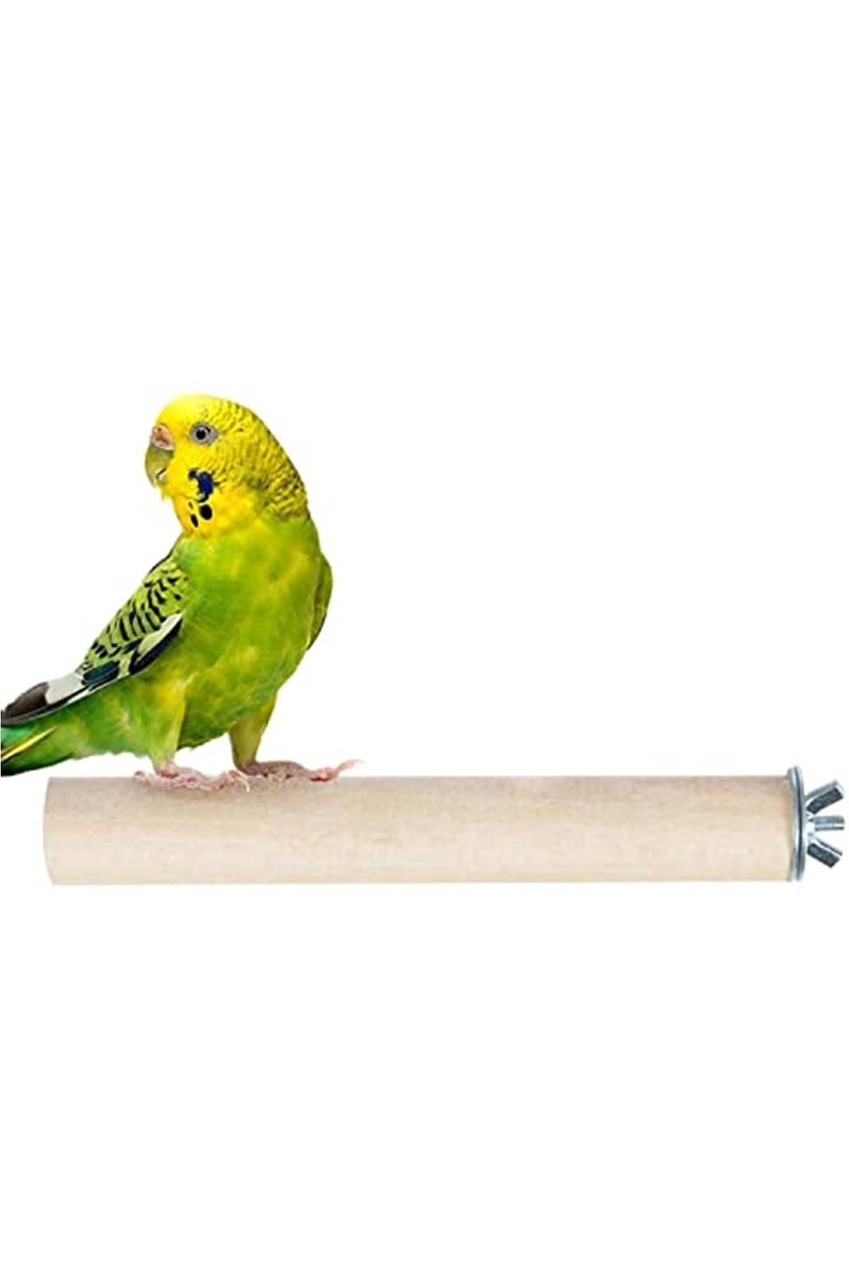 Ağaç Tünek Kuş Tüneği Yuvarlak Boy 15 Cm Çap 2 Cm Kayın Ağacı