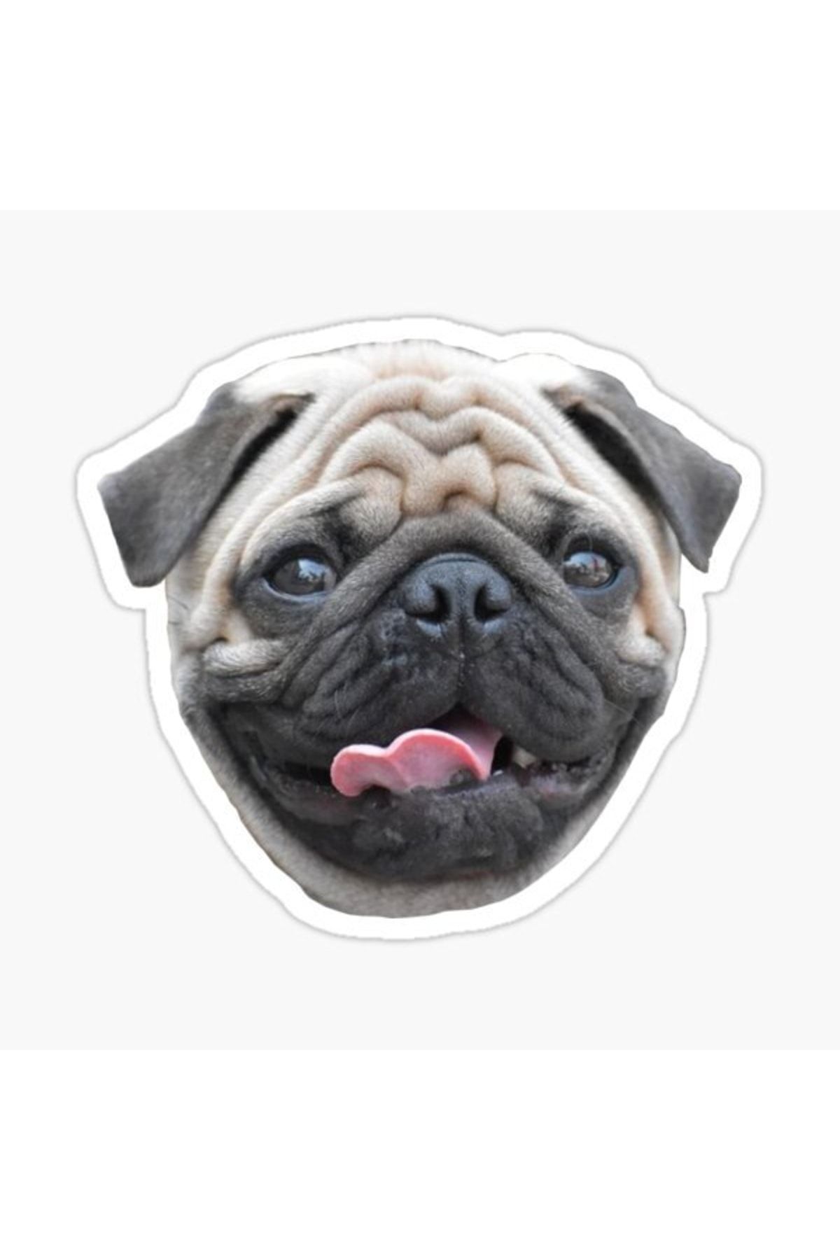 TSC-Autocolant pentru câini rase Pug Auto Auto Paste 17cm Z8 1