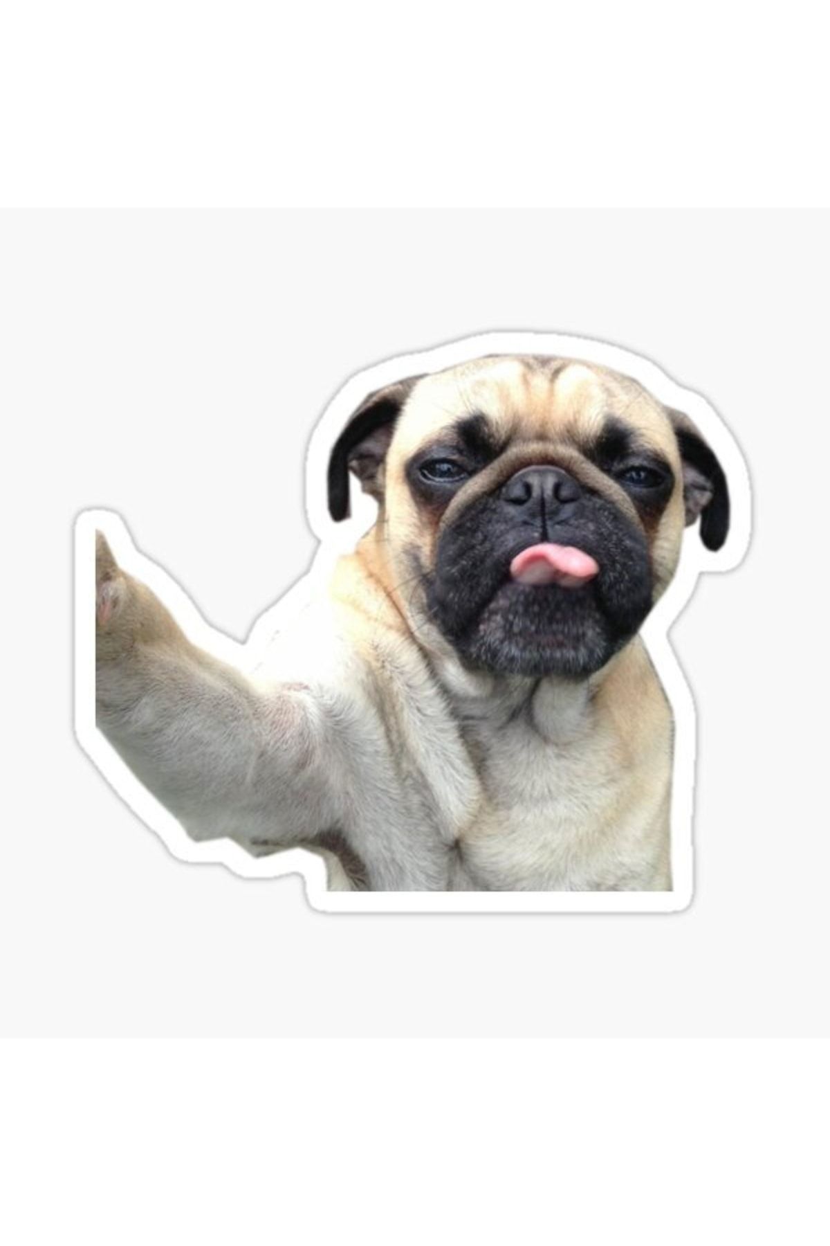 TSC-Autocolant pentru câini rase Pug Auto Auto Paste 17cm A1 1