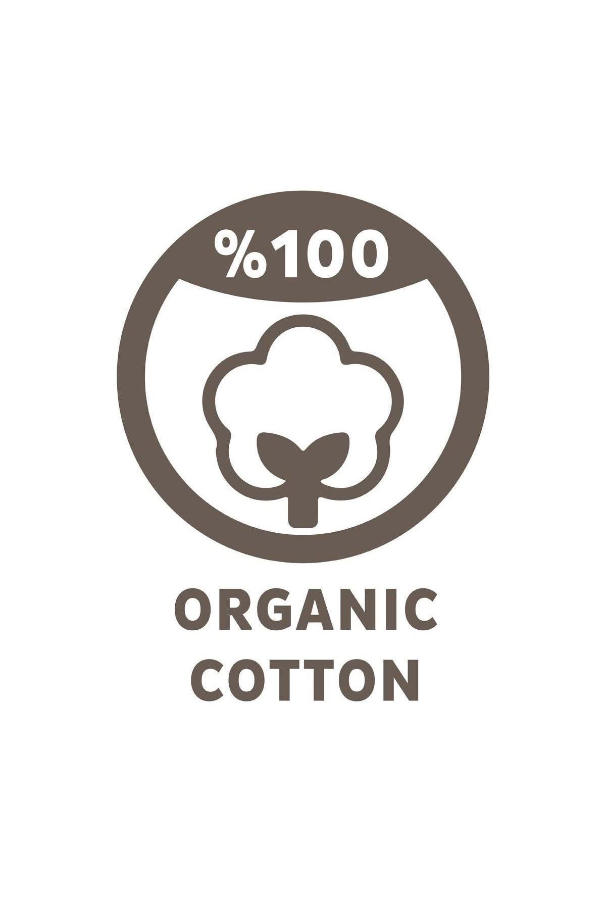 Sleepy Gece Külotu Lavanta Yağlı 4 Numara Maxi 150 Adet fotoğrafı 7 (önizleme)