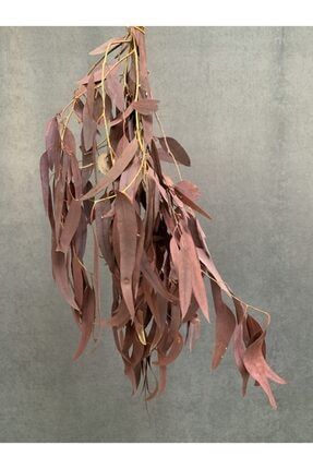 Kuru Çiçek Şoklanmış Yaprak Okaliptus 70 cm Kırmızı 20420202101