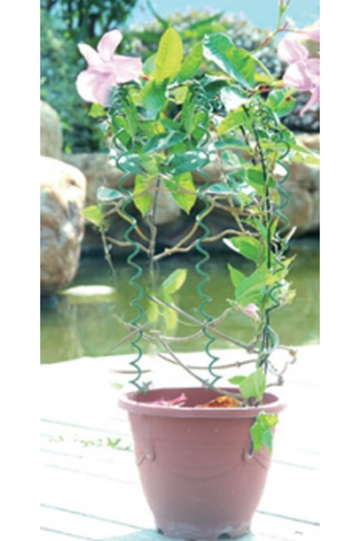 Spiral Bitki Destek Çubuğu 75cm 3 Adet 4