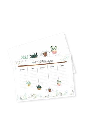 Yaprak Haftalik Planlayici Monthly Planner Trendyol