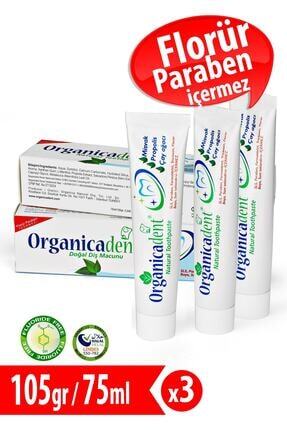Ecodenta Coconut Florursuz Floridsiz Oganik Vegan Dis Macunu Trendyol