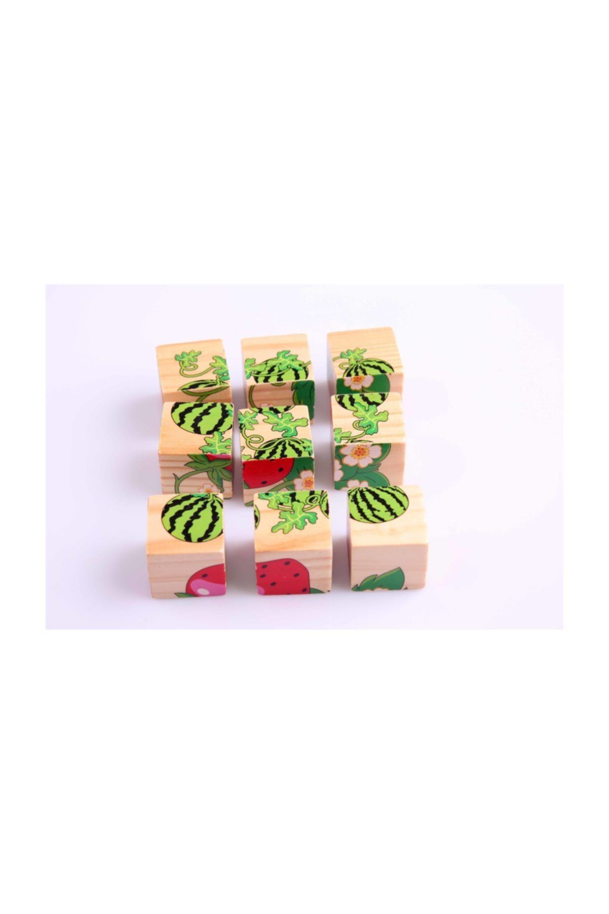 Learning Toys-Wooden Puzzle Cubes 4