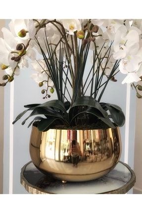 Büyük Gold Metal Orkide Saksısı Vazo BYK963