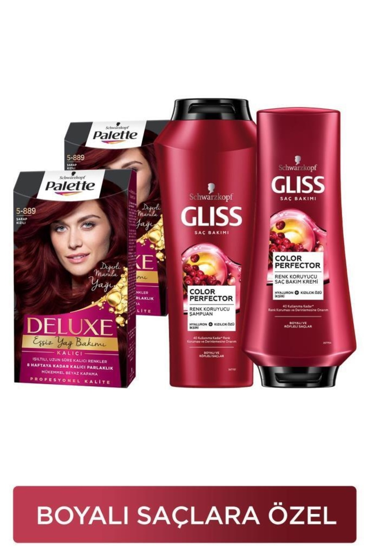 Gliss Palette Deluxe 5-889 Şarap Kızılı x 2 Adet + Color Perfector Renk Koruyucu Şampuan 500 ml + Sa