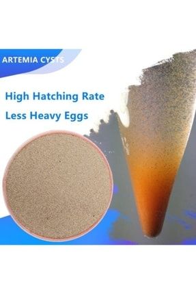 Cysts Koral Artemia Yumurtası 25 Gr 3652211120