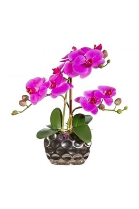 Yapay Orkide artium2021