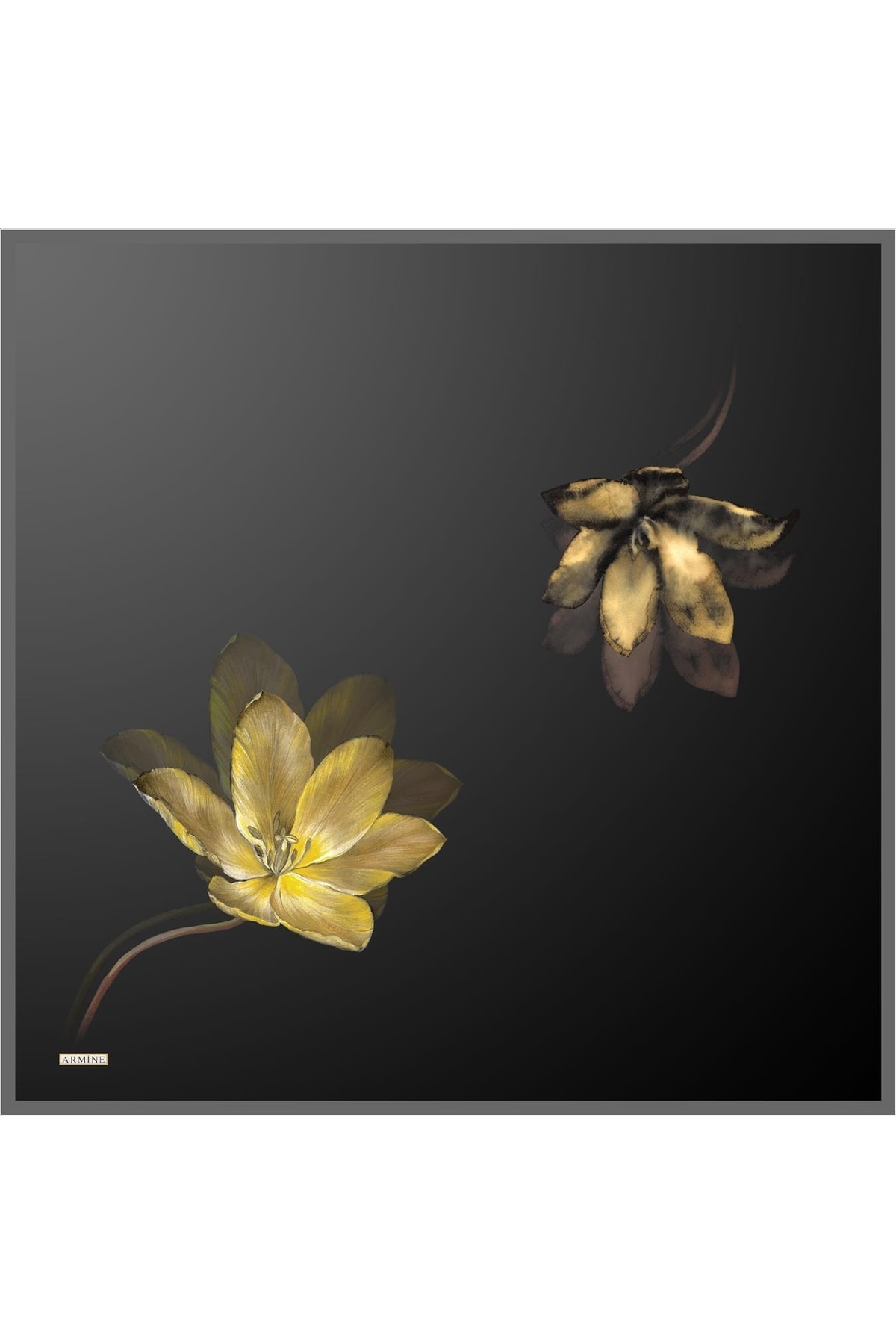 روسری زنانه آرمینه | E22YA8737D02 Armine - Image 5