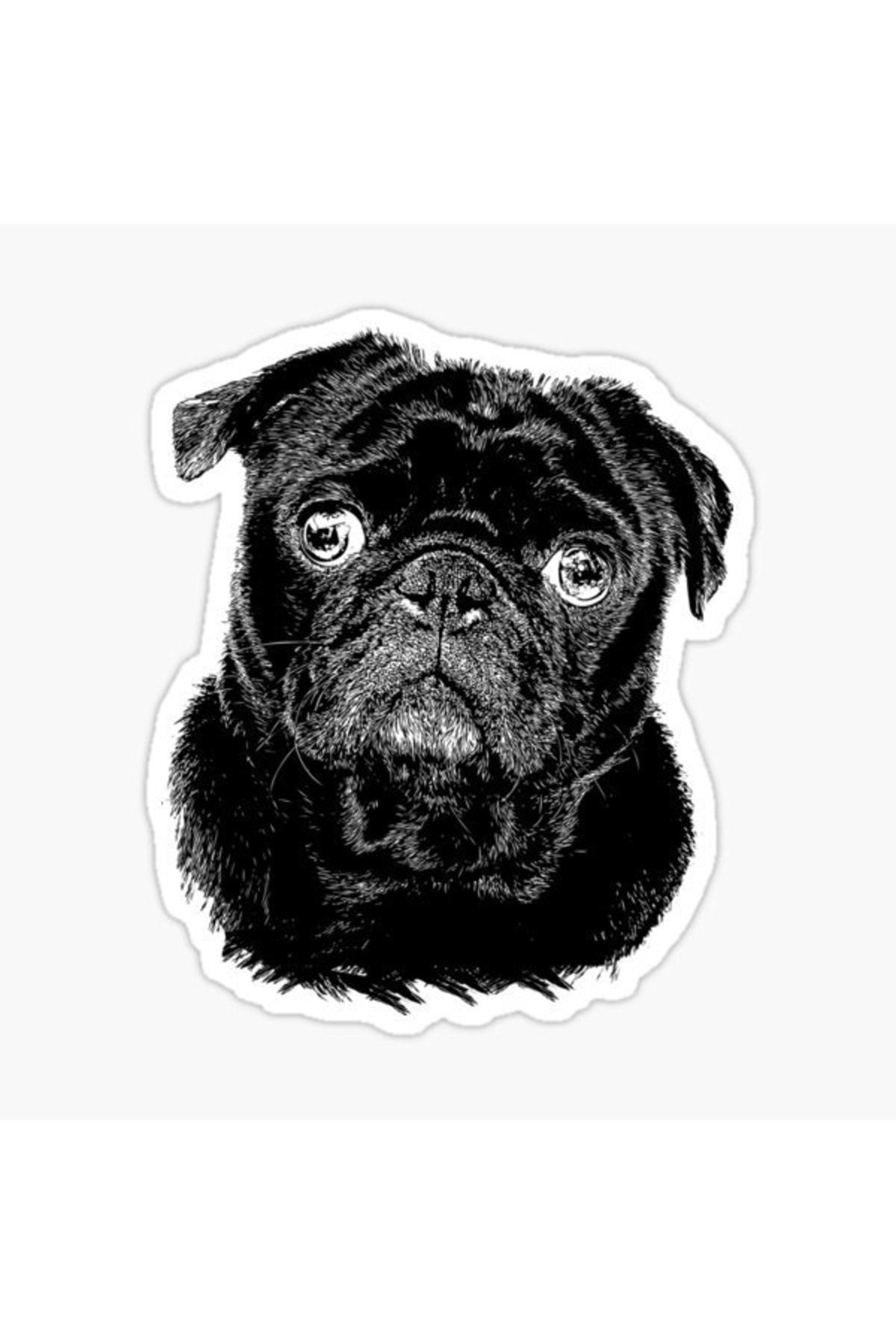 TSC-Autocolant pentru câini rase Pug Auto Auto Paste 17cm N1 1