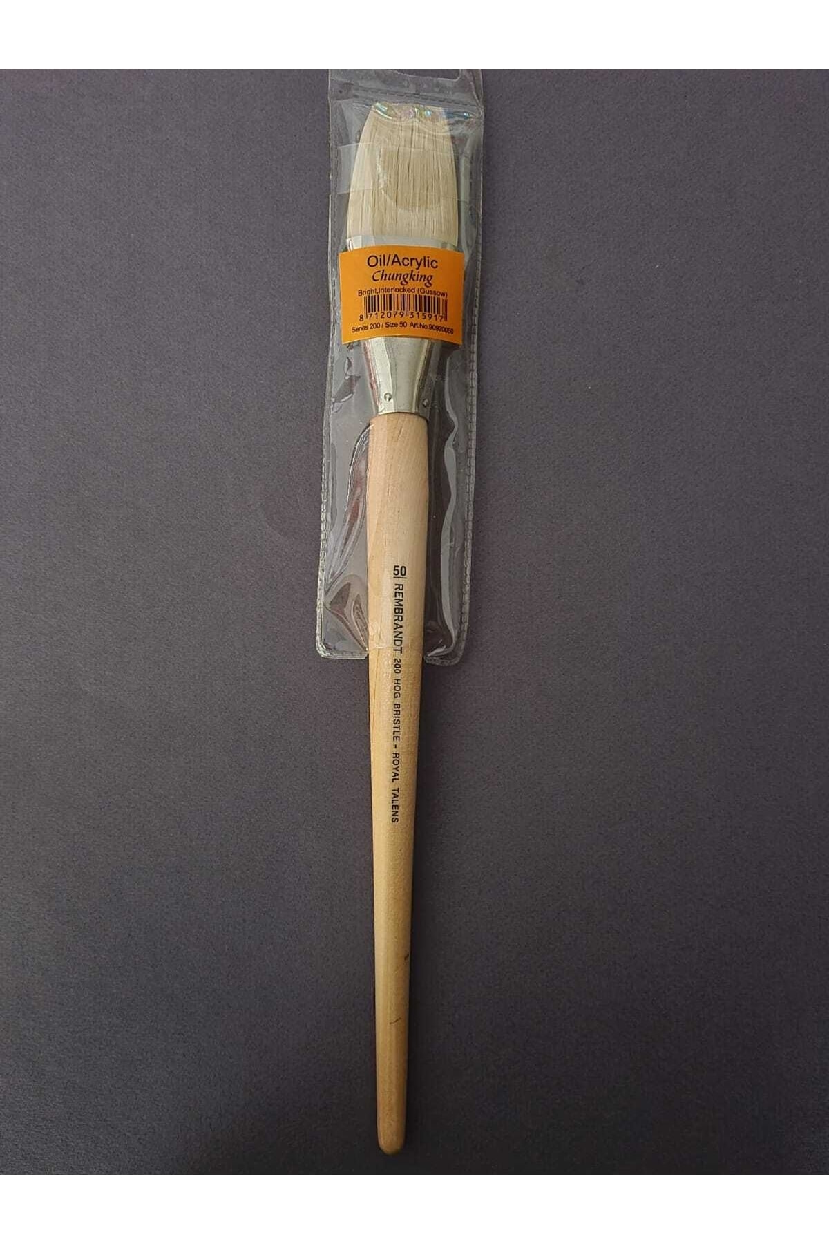 Rembrandt 200 Serisi Hog Bristle Fırça No: 50