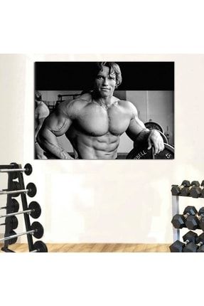 Srss2 - Spor Salonu - Vücut Geliştirme - Arnold Schwarzenegger Kanvas Tablo srss2