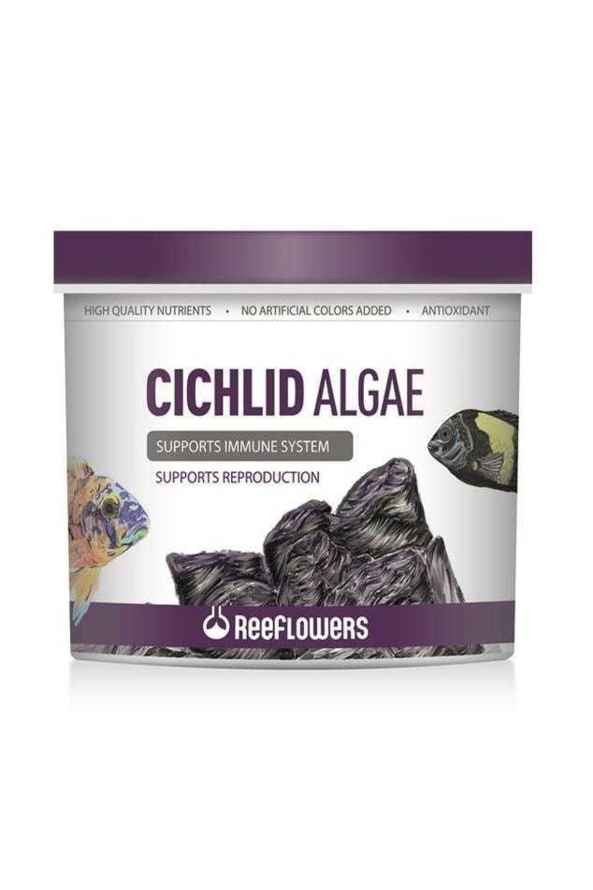 ReeFlowers Cichlid Algae 100 gr Özel Poşette (Açık) Balık Yemi