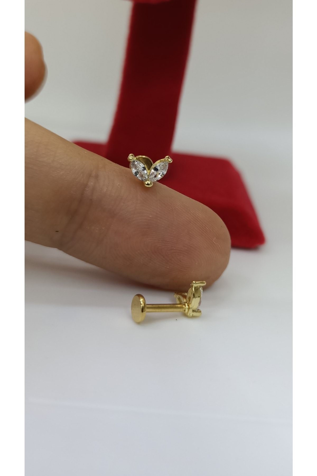 Arescollection-ثقب الغضروف الزنمة الفولاذية 2