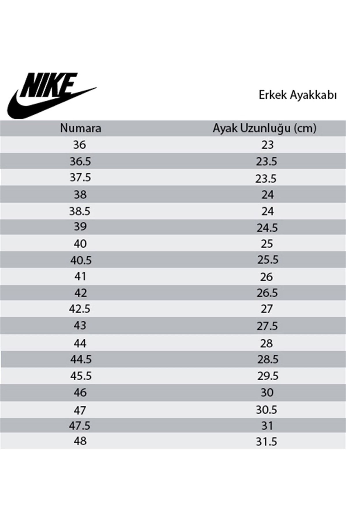 Nike Revolution 5 Men s Sports Shoes Bq3204 400
