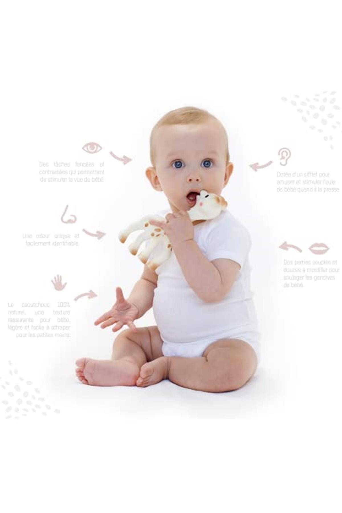 Sophie La Girafe Diş Kaşıyıcı Sophie 0 Ay+ fotoğrafı 3 (önizleme)