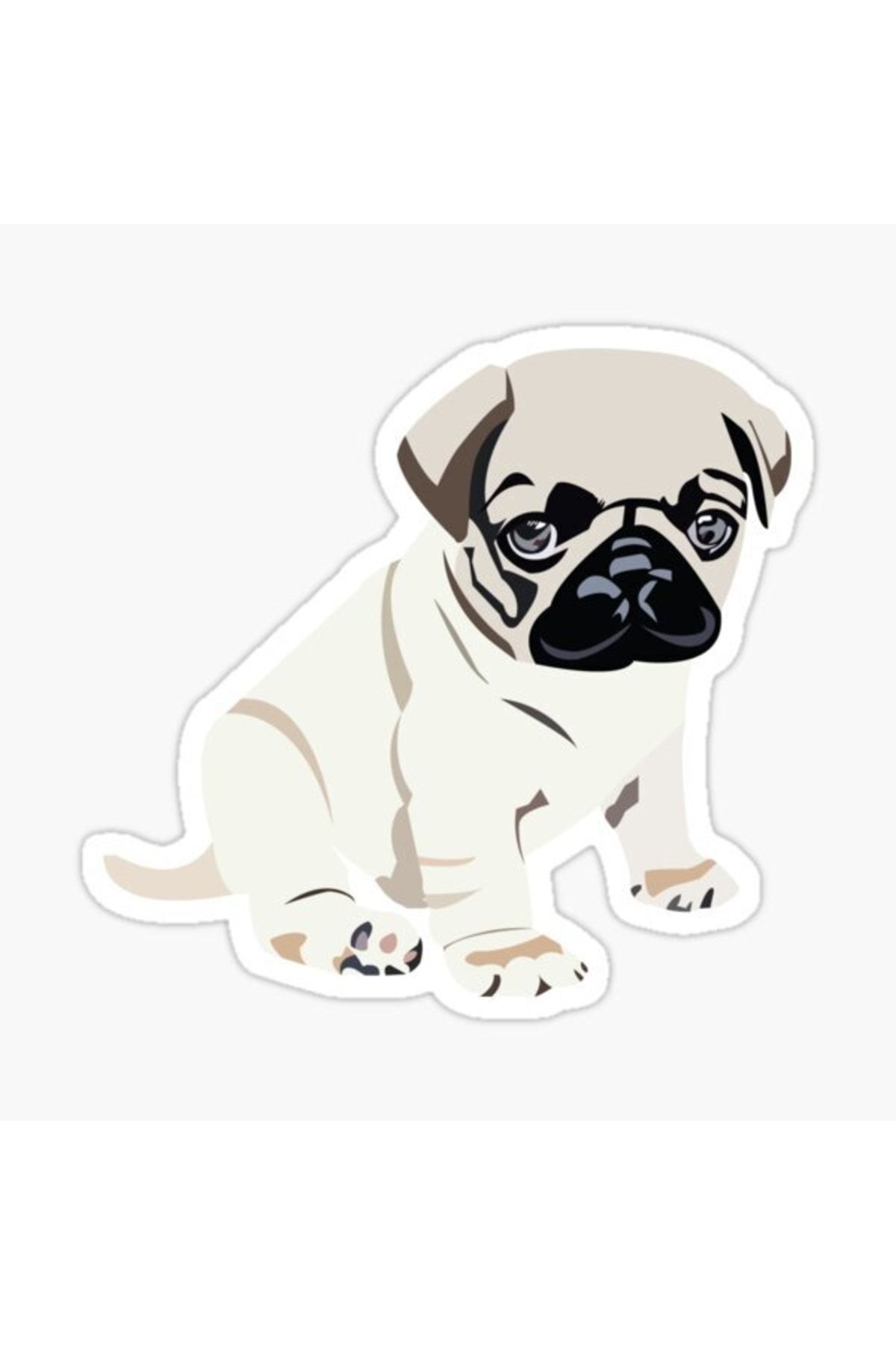 TSC-Autocolant pentru câini rase Pug Auto Auto Paste 17cm A2 1