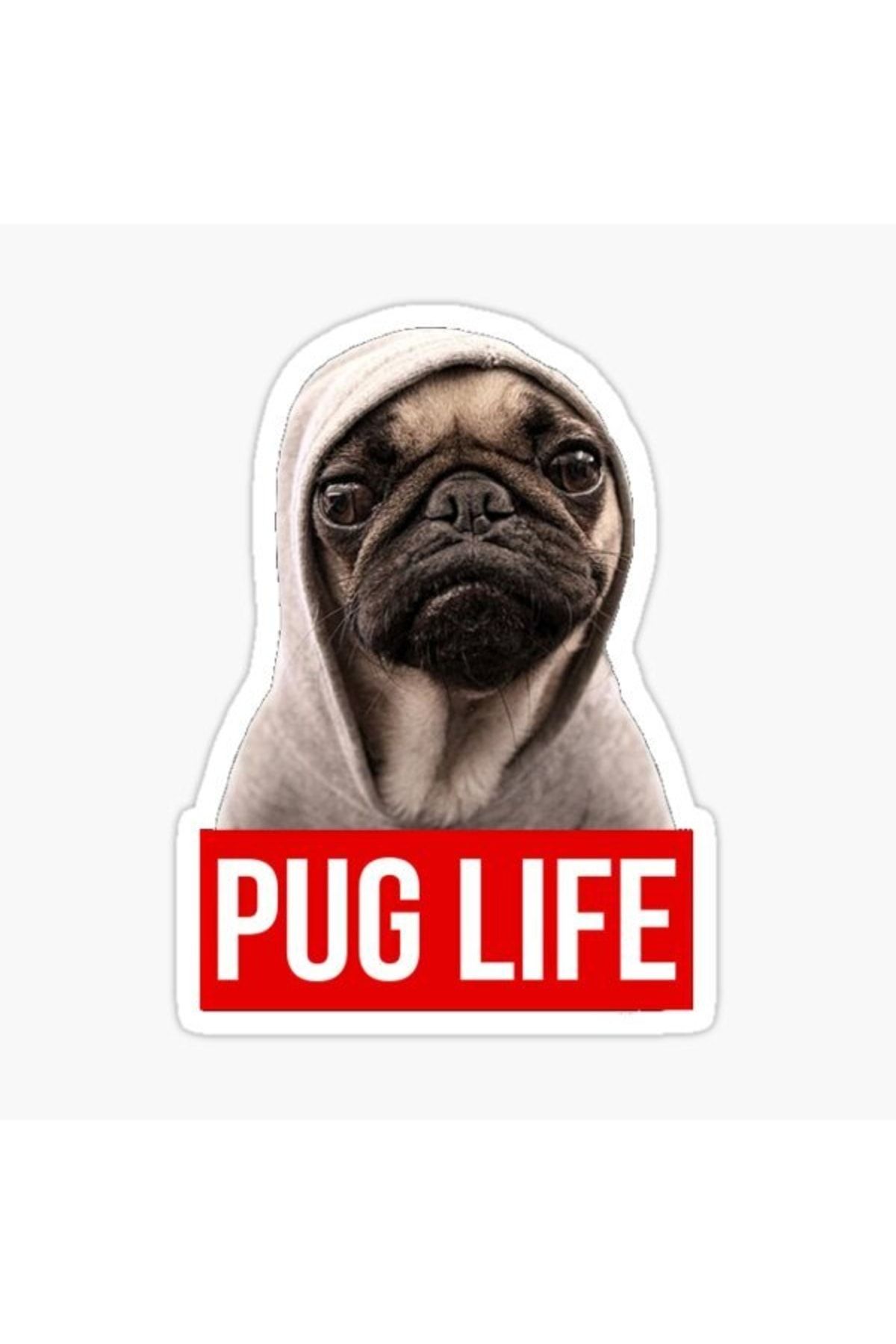 TSC-Autocolant pentru câini rase Pug Auto Auto Paste 17cm N5 1