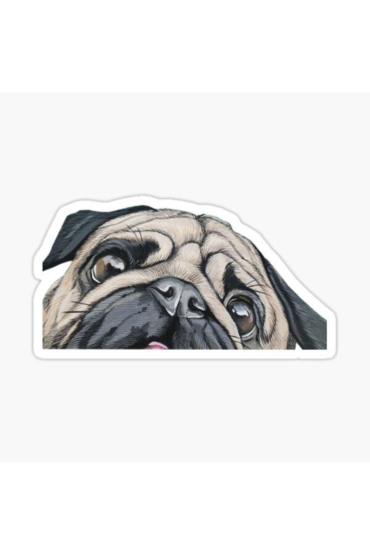 TSC-Autocolant pentru câini rase Pug Auto Auto Paste 17cm N7 1
