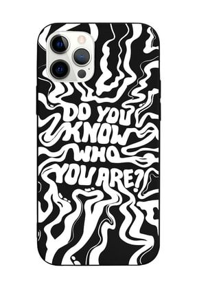 Iphone 12 Pro Max Uyumlu Siyah Harry Styles Dykwya Tasarımlı Lansman Kılıf FCIP12PM-237