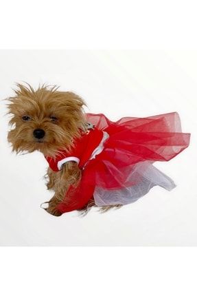 Red Anchor Tütülü Köpek Elbisesi, Kıyafeti Tutu KMQREDANCHRTTKPK