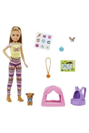 Barbie'nin Kız Kardeşleri Kampa Gidiyor Oyun Seti Hdf69-hdf70 Lisanslı Ürün Z..000000809
