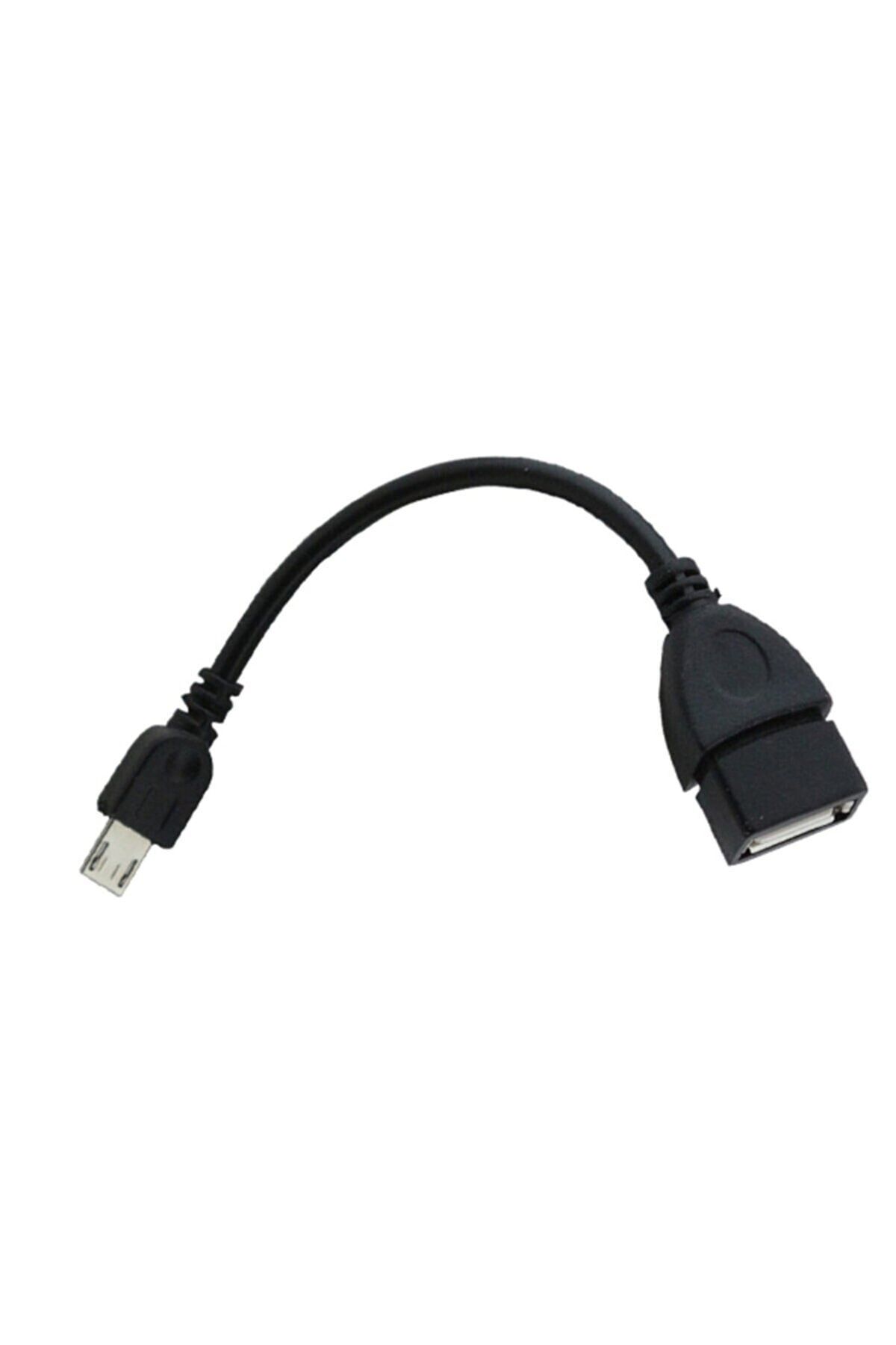 Auris Micro Usb To Usb Plug Otg Converter