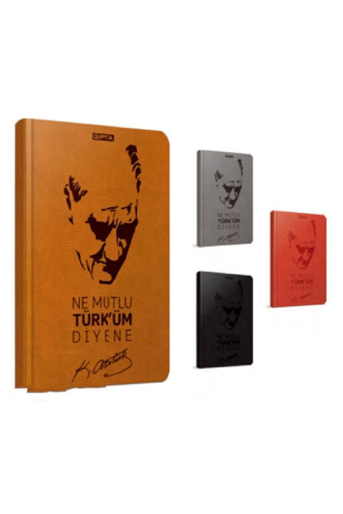 Atatürk İp.Dkş.Sert Kap.Df.13X21-120 Yp.Çiz.(Stnd)