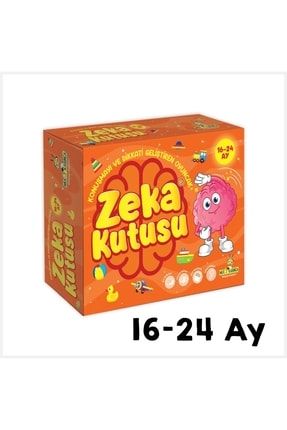 Zeka Kutusu 16-24 Ay hb0019786257632348