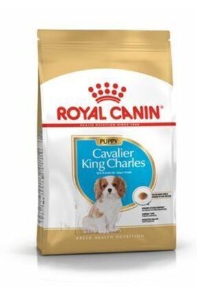 Cavalier King Charles Puppy 1,5 Kg royalcanin38
