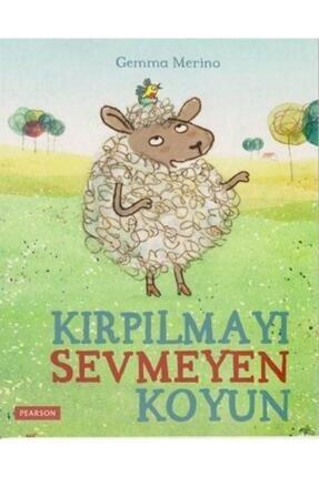 Pearson Yayincilik Kayip Kopek Uzum Kucuk Bir Dostluk Hikayesi Trendyol