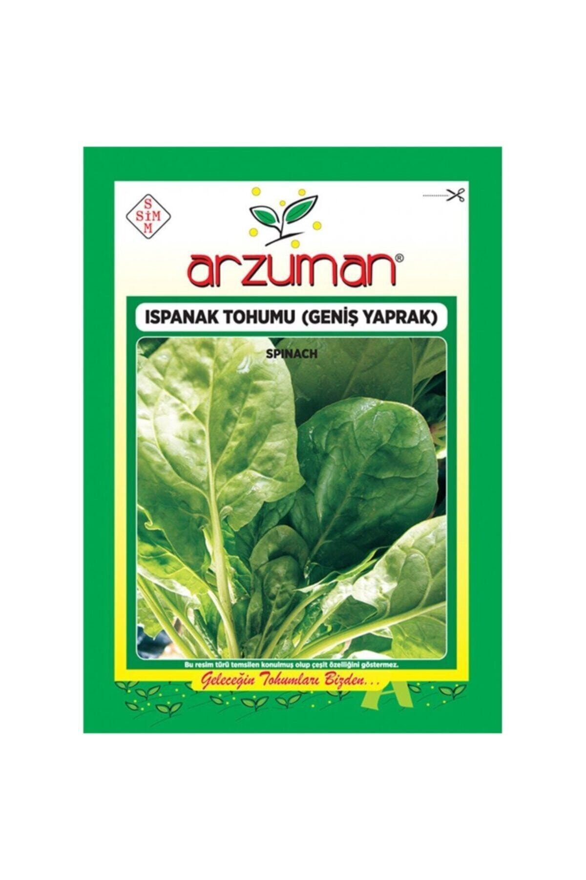 Geniş Yapraklı Ispanak Tohumu-25 Gram