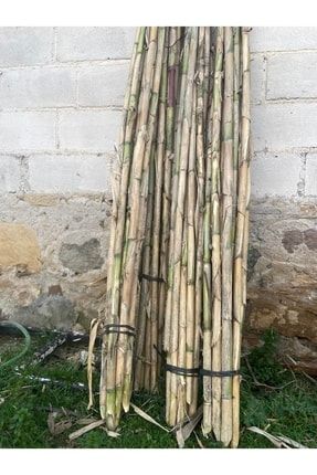 10 Adet Bambu Bitki Destek Çubuğu 150 Cm (çok Kalın Ve Dayanıklı) TYC00419214278
