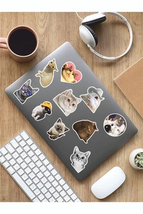 - Cats Temalı Laptop Notebook Tablet Sticker Set 1 ARSET10A
