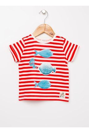 Erkek Bebek Baskılı Kırmızı - Beyaz T-shirt 504397178