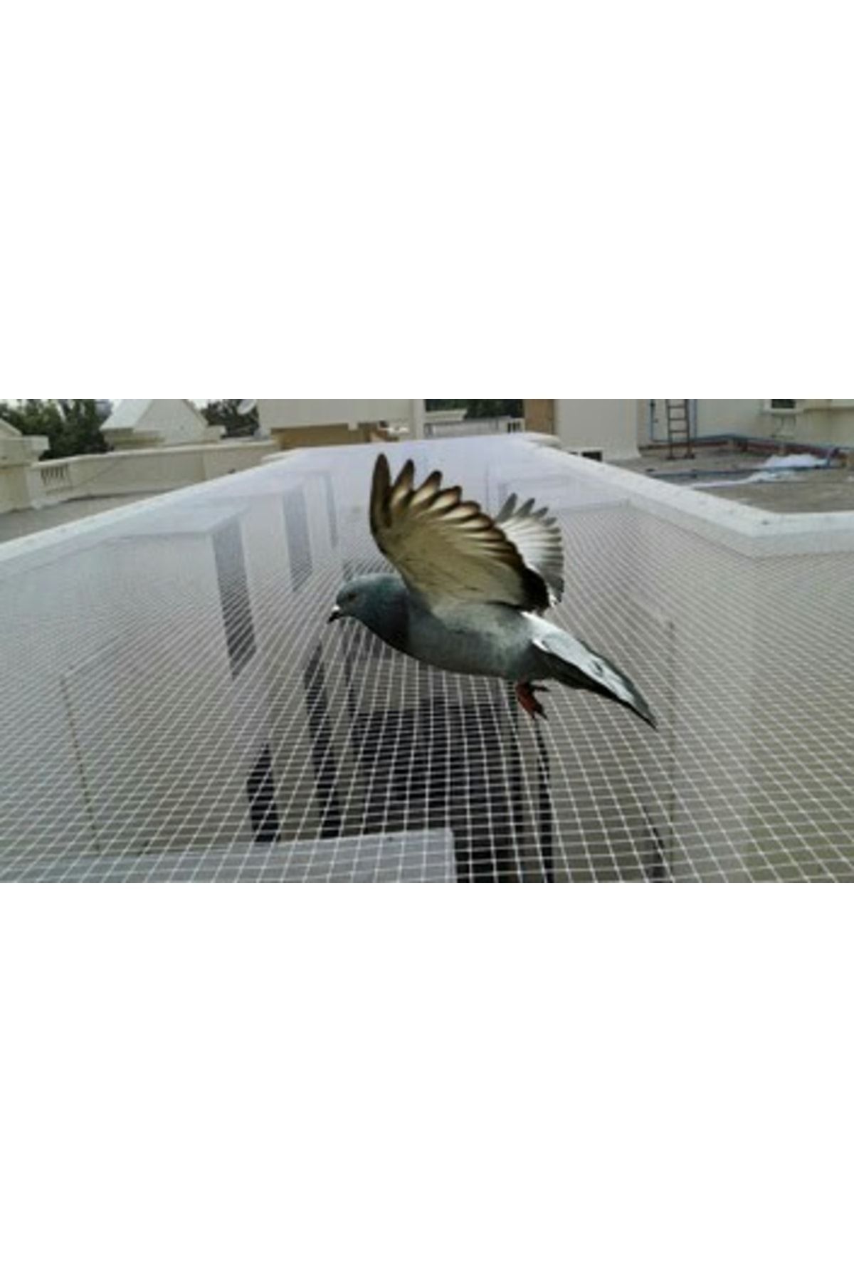Asenya-Bird Net 10x3 Meters Balcony Net Bird Prevention Net Pigeon Net 4