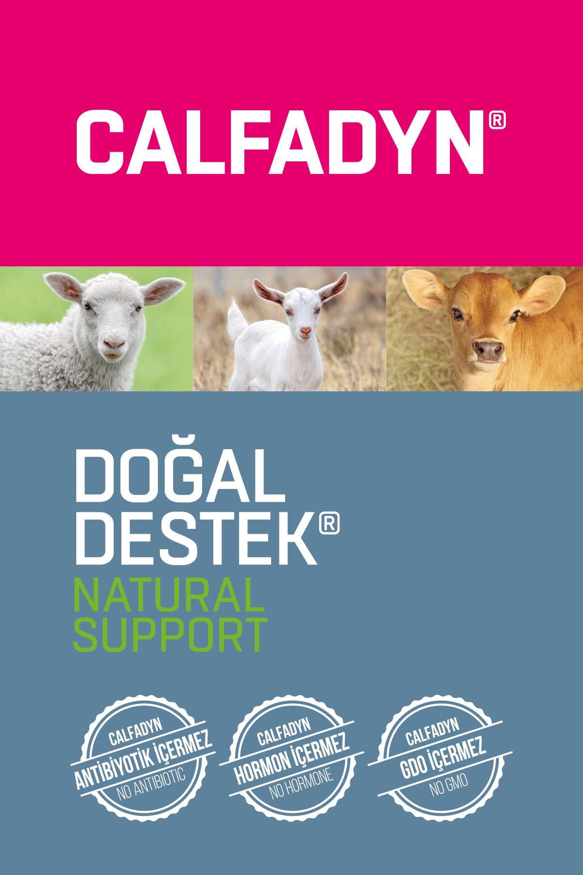 680 Gram  Buzağı Kuzu Oğlak Ishal Önleyici Sağlıklı Büyüme Desteği yoğun Premiks 7